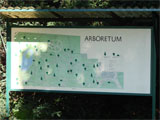 Arboretum Berlin Treptow Botanischer_Garten